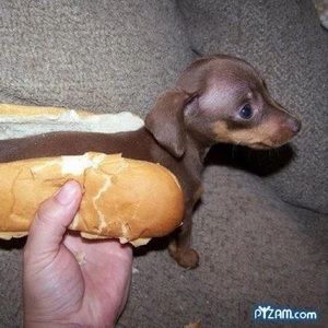 Meet your Posher, Ben